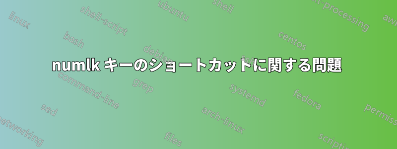 numlk キーのショートカットに関する問題