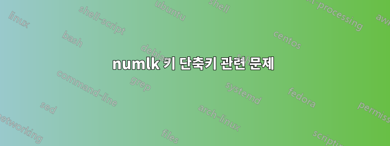 numlk 키 단축키 관련 문제