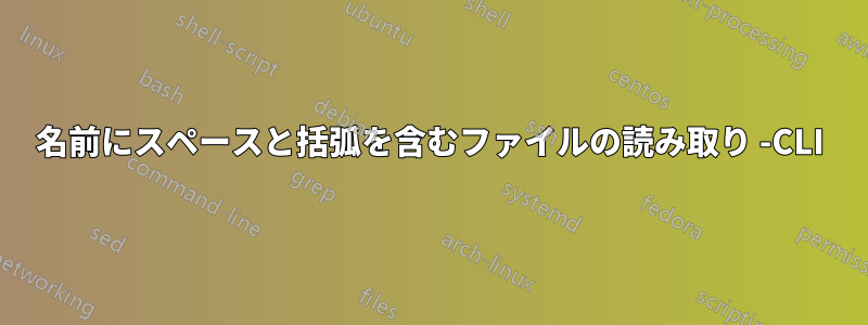 名前にスペースと括弧を含むファイルの読み取り -CLI