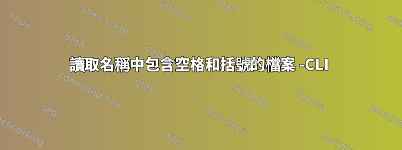 讀取名稱中包含空格和括號的檔案 -CLI