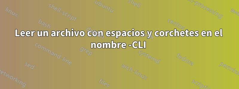 Leer un archivo con espacios y corchetes en el nombre -CLI