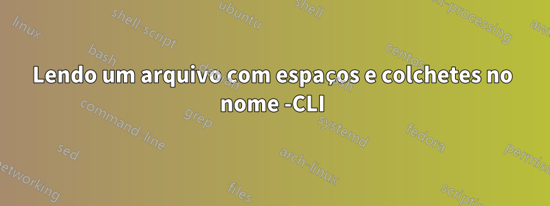 Lendo um arquivo com espaços e colchetes no nome -CLI