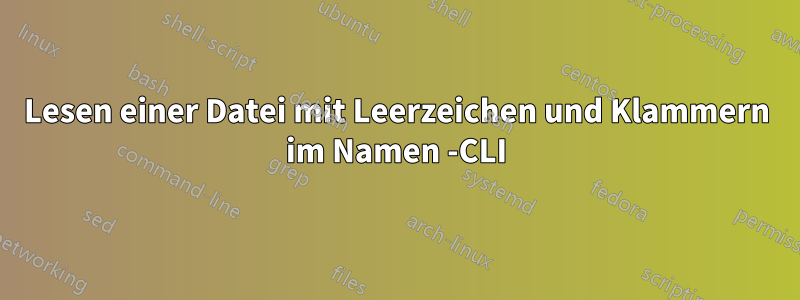 Lesen einer Datei mit Leerzeichen und Klammern im Namen -CLI