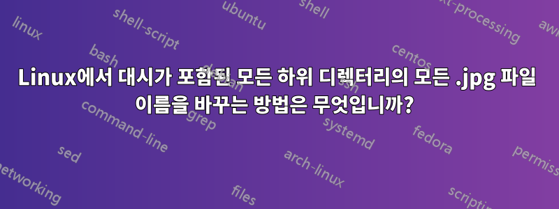 Linux에서 대시가 포함된 모든 하위 디렉터리의 모든 .jpg 파일 이름을 바꾸는 방법은 무엇입니까? 