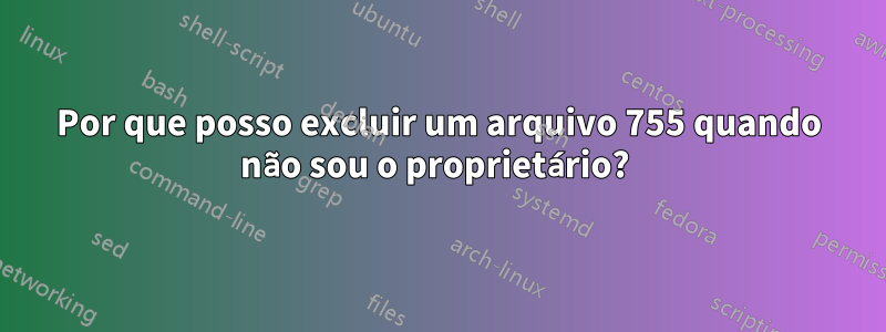 Por que posso excluir um arquivo 755 quando não sou o proprietário? 