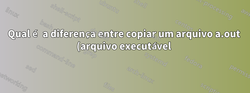 Qual é a diferença entre copiar um arquivo a.out (arquivo executável) e instalar um aplicativo?