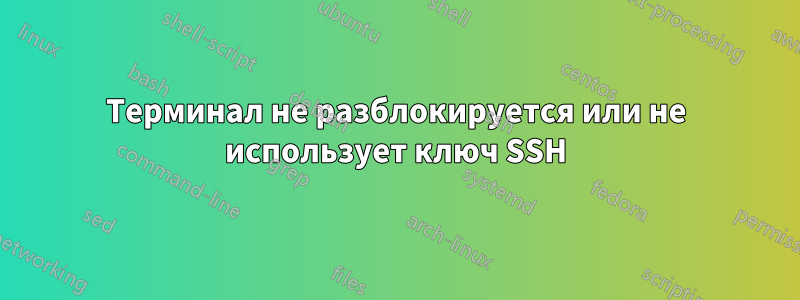 Терминал не разблокируется или не использует ключ SSH