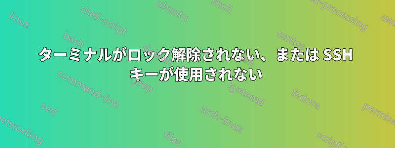 ターミナルがロック解除されない、または SSH キーが使用されない