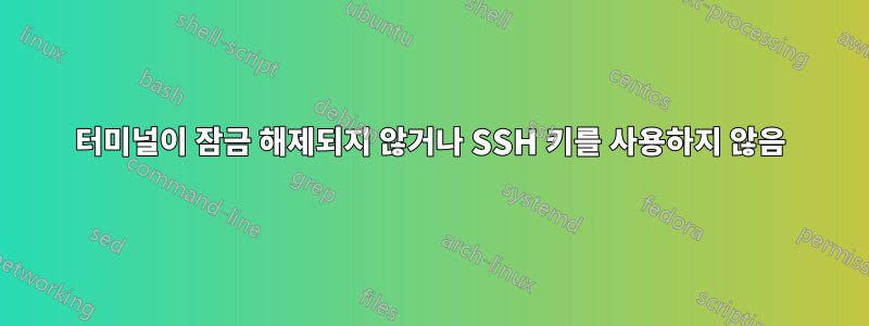 터미널이 잠금 해제되지 않거나 SSH 키를 사용하지 않음