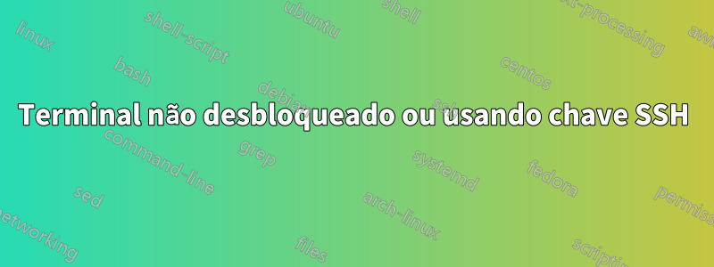 Terminal não desbloqueado ou usando chave SSH