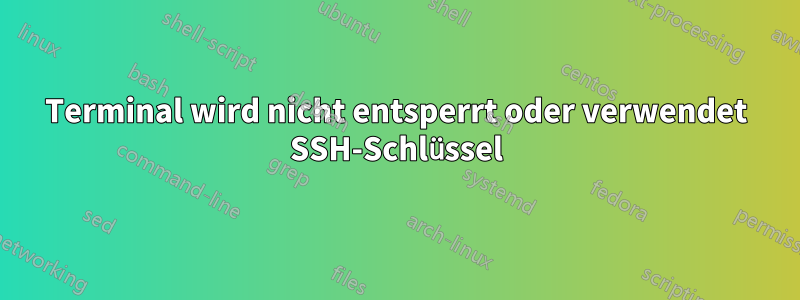 Terminal wird nicht entsperrt oder verwendet SSH-Schlüssel