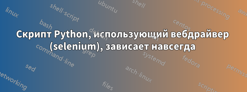 Скрипт Python, использующий вебдрайвер (selenium), зависает навсегда