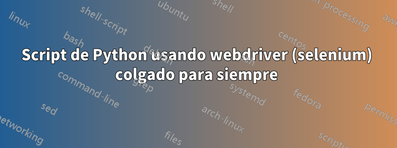 Script de Python usando webdriver (selenium) colgado para siempre