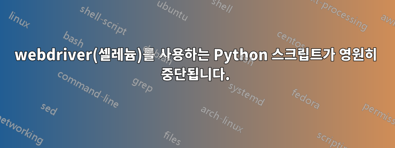 webdriver(셀레늄)를 사용하는 Python 스크립트가 영원히 중단됩니다.