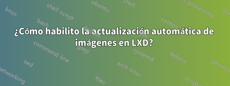 ¿Cómo habilito la actualización automática de imágenes en LXD?