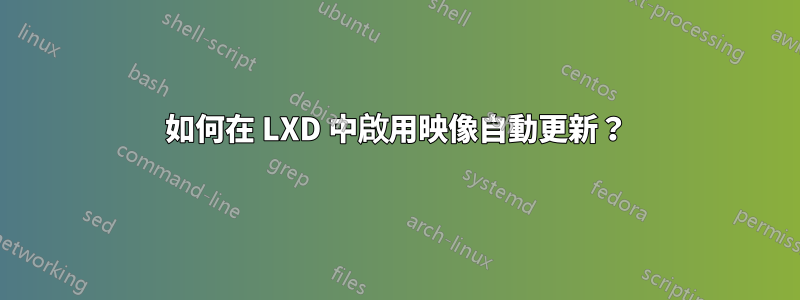 如何在 LXD 中啟用映像自動更新？