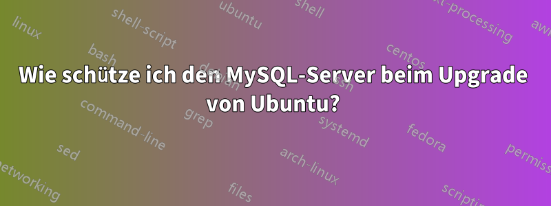 Wie schütze ich den MySQL-Server beim Upgrade von Ubuntu?