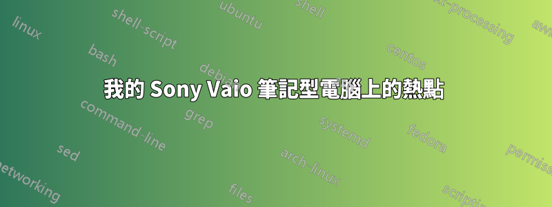 我的 Sony Vaio 筆記型電腦上的熱點