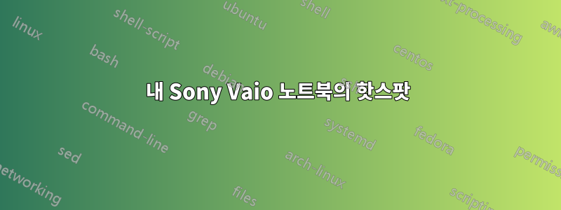 내 Sony Vaio 노트북의 핫스팟