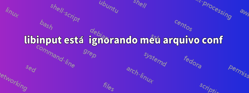 libinput está ignorando meu arquivo conf