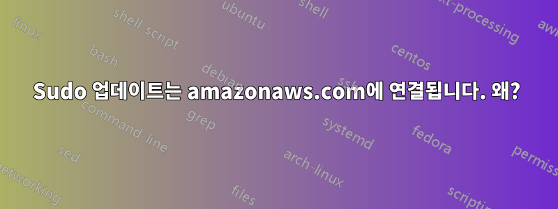 Sudo 업데이트는 amazonaws.com에 연결됩니다. 왜?