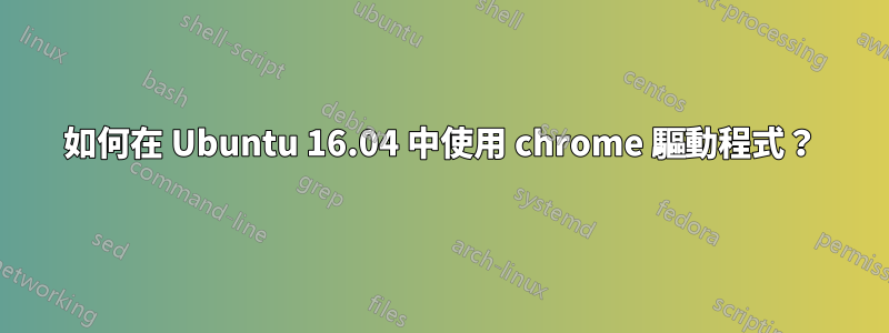 如何在 Ubuntu 16.04 中使用 chrome 驅動程式？