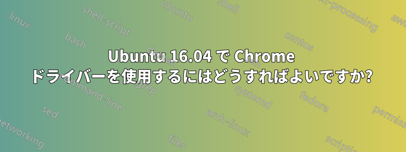 Ubuntu 16.04 で Chrome ドライバーを使用するにはどうすればよいですか?