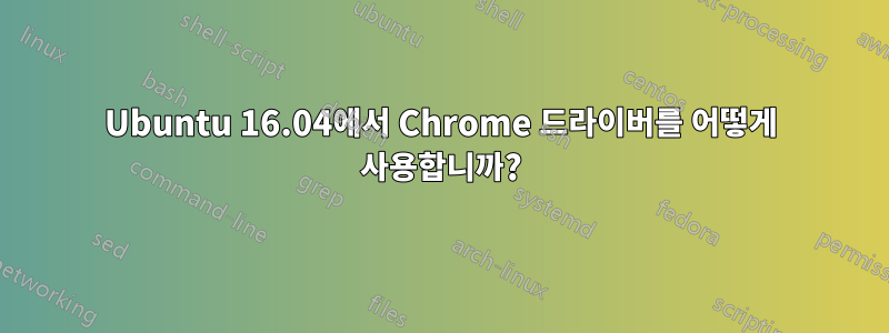 Ubuntu 16.04에서 Chrome 드라이버를 어떻게 사용합니까?