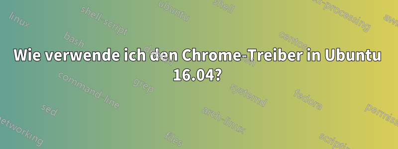 Wie verwende ich den Chrome-Treiber in Ubuntu 16.04?