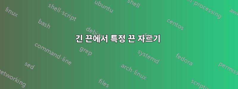 긴 끈에서 특정 끈 자르기