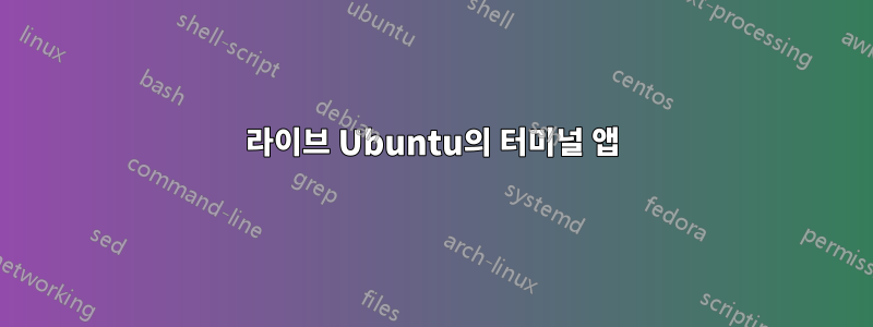 라이브 Ubuntu의 터미널 앱