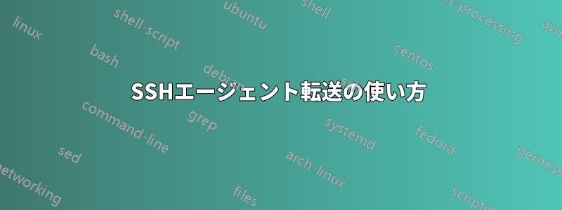 SSHエージェント転送の使い方