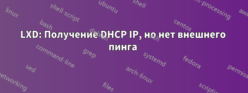 LXD: Получение DHCP IP, но нет внешнего пинга