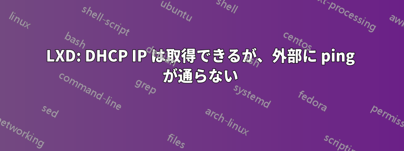 LXD: DHCP IP は取得できるが、外部に ping が通らない