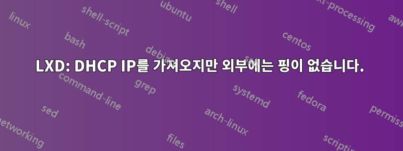 LXD: DHCP IP를 가져오지만 외부에는 핑이 없습니다.