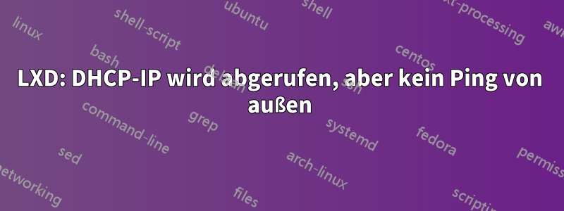 LXD: DHCP-IP wird abgerufen, aber kein Ping von außen