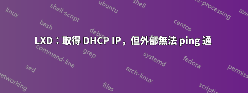 LXD：取得 DHCP IP，但外部無法 ping 通