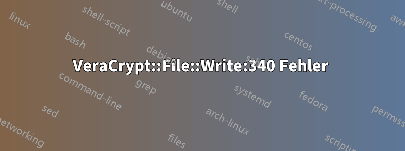 VeraCrypt::File::Write:340 Fehler