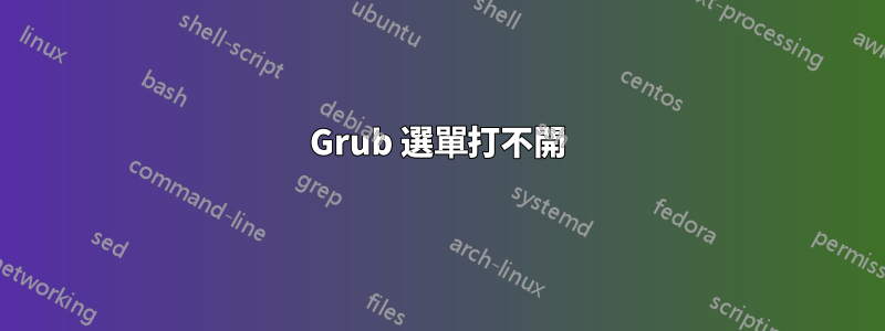 Grub 選單打不開