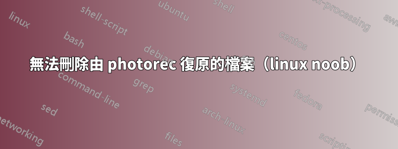 無法刪除由 photorec 復原的檔案（linux noob）