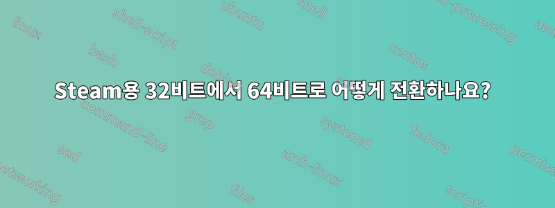 Steam용 32비트에서 64비트로 어떻게 전환하나요? 