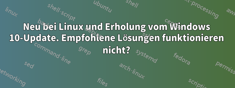 Neu bei Linux und Erholung vom Windows 10-Update. Empfohlene Lösungen funktionieren nicht?