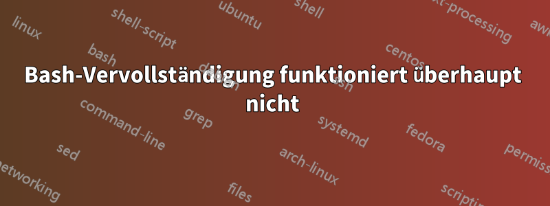 Bash-Vervollständigung funktioniert überhaupt nicht