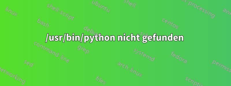 /usr/bin/python nicht gefunden