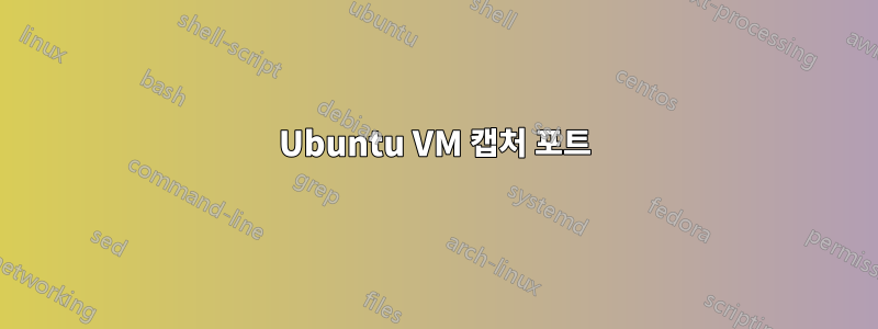 Ubuntu VM 캡처 포트