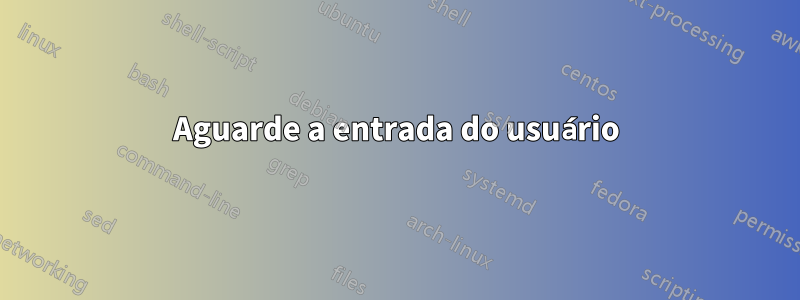 Aguarde a entrada do usuário