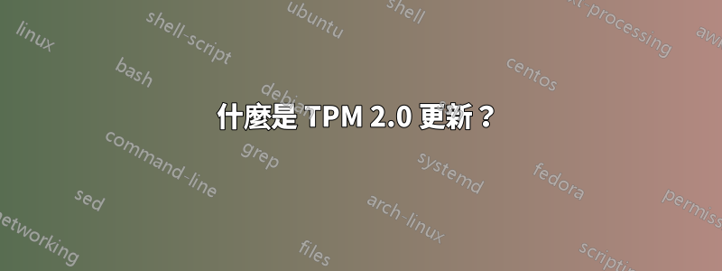 什麼是 TPM 2.0 更新？