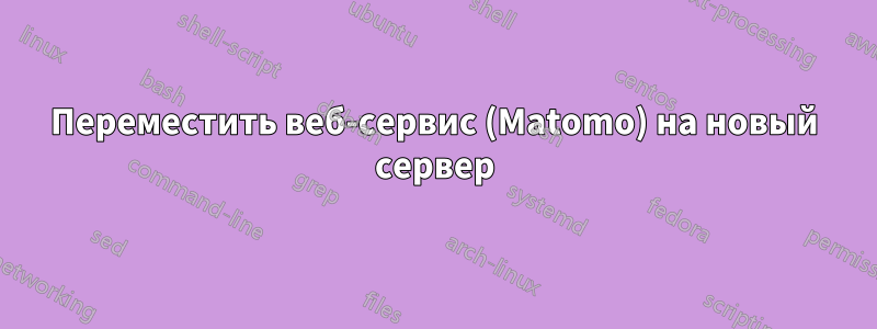 Переместить веб-сервис (Matomo) на новый сервер