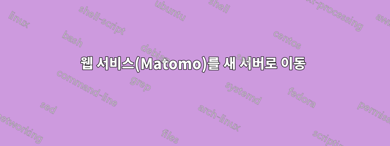 웹 서비스(Matomo)를 새 서버로 이동