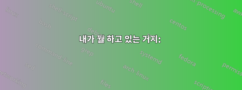 내가 뭘 하고 있는 거지: